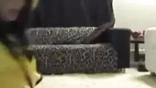 بورن هواة: فتاة عربية ممتلئة تظهر ثدييها الكبيرين المستديرين