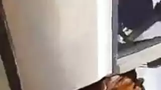 جنس كلاسيكي جامد في الصحراء مشهد إباحي صريح