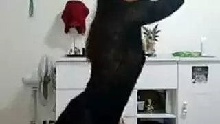 القضيب الأسود يدخل بعمق في مهبلها