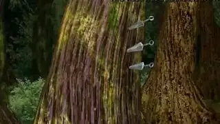 مقاطع سكس كلاسيكية من القاهرة: مجموعة مص قديمة