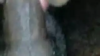 صور شفار او كس