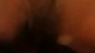 أولدي مثقوب الهرة حوض السباحة