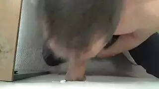 اختراق شرجي عميق من نجم بورنو أسود