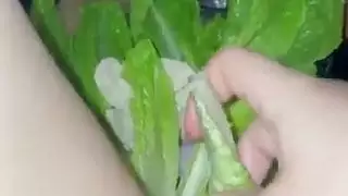 هواة أمريكيون: فتاة مراهقة مبللة لدرجة التنقيط من أجل حمولة كبيرة