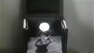 سكسعنيف ومقرف