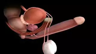 ولد وأمة في البيت لوحدهم