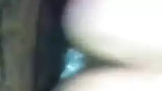 د سكس احصنه مع حريم