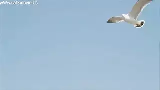 سكس كوري ف الحديقه