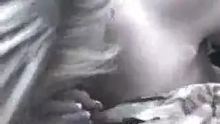 ركوب الفرخ وتمتص الديك