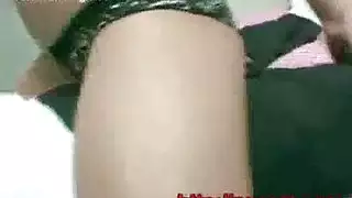 جنس كلاب وحشية