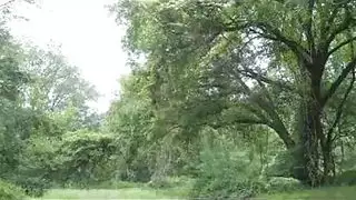 مشاهد جنسية صريحة: مطلقات في فعل خشن