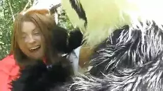 وطء حيواني جامح: وضع الوحشية الإباحي المكثف