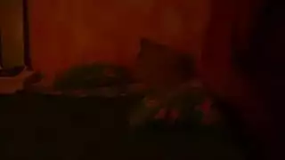 اغتصاب سيدة في منزلها