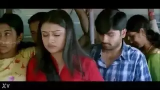 حمار في الحافلة