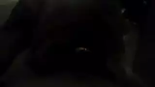 نائب الرئيس بالفرشاة السيولة النقدية أحمر الشعر