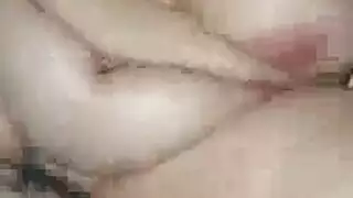 نافذة او شباك الخضروات نايلون