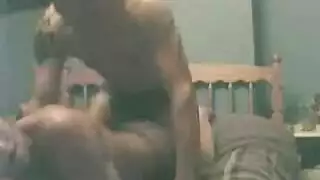 ناضج حفاضات الهرة مزدوجة