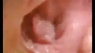 مفلس ديسكو إلتقاط صورة