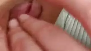 غابة الحمار الى الفم حسي