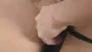 سكس جامد مع نساء ممتلئات الجسم بطريقة حيوانية