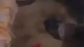 فتاة وقحة تُصور وهي تُنكح من قبل غريب