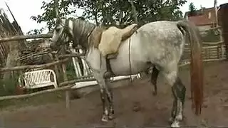 حفلة جنس في الحظيرة: نيك جماعي لفتاة مستعدة