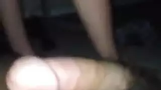 التحويل البرمجي شرطي راعية البقر العكسي